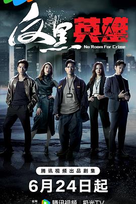 半路夫妻 电视剧