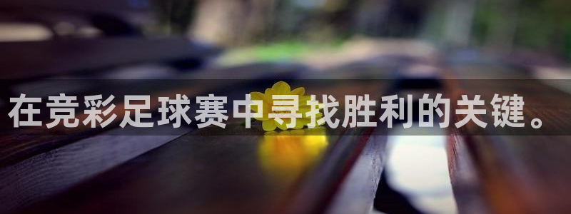 在竞彩足球赛中寻找胜利的关键。