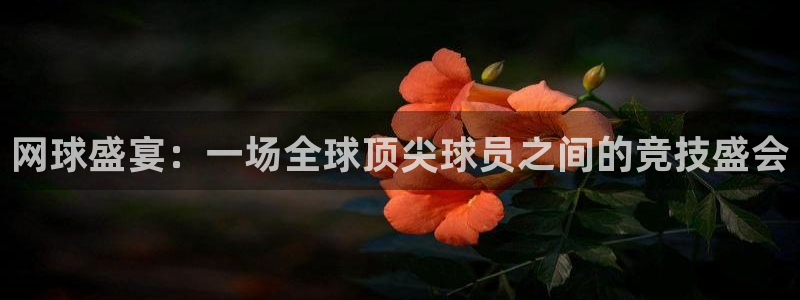 网球盛宴：一场全球顶尖球员之间的竞技盛会