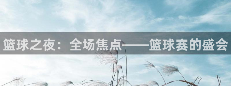篮球之夜：全场焦点——篮球赛的盛会