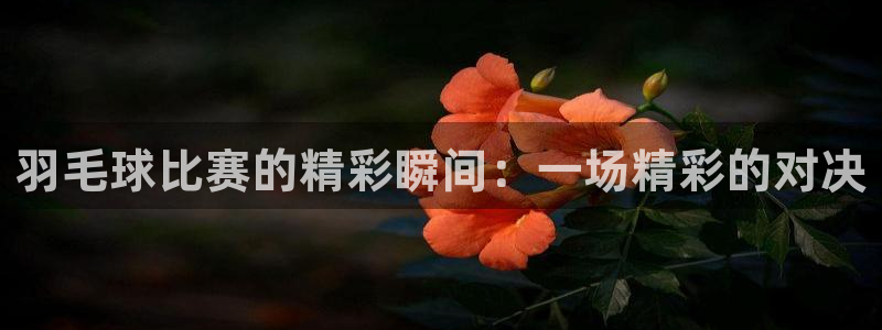 壹号娱乐 - NG大舞台,有梦你就来：羽毛球比赛的精彩瞬间：