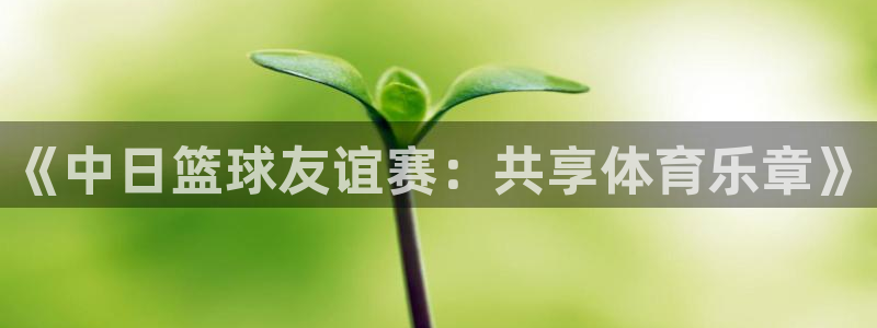 壹号账号：《中日篮球友谊赛：共享体育乐章》