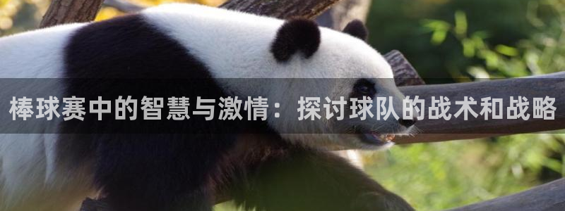 壹号娱乐充值教程：棒球赛中的智慧与激情：探讨球队的战术和战略