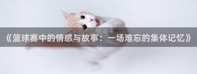 壹号娱乐怎么解绑支付宝