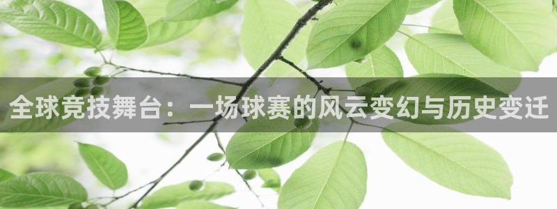 壹号娱乐网站：全球竞技舞台：一场球赛的风云变幻与历史变迁