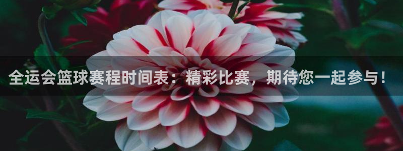 壹号娱乐下款风险大吗是真的吗：全运会篮球赛程时间表：精彩比赛