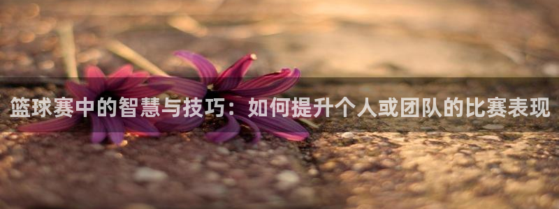 壹号娱乐退款怎么退款申请：篮球赛中的智慧与技巧：如何提升个人