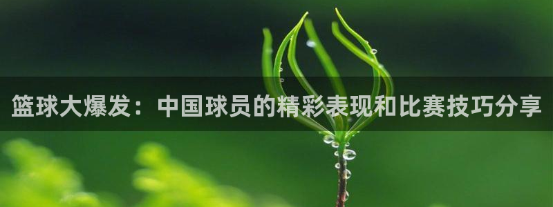 壹号娱乐老板身价多少亿：篮球大爆发：中国球员的精彩表现和比赛